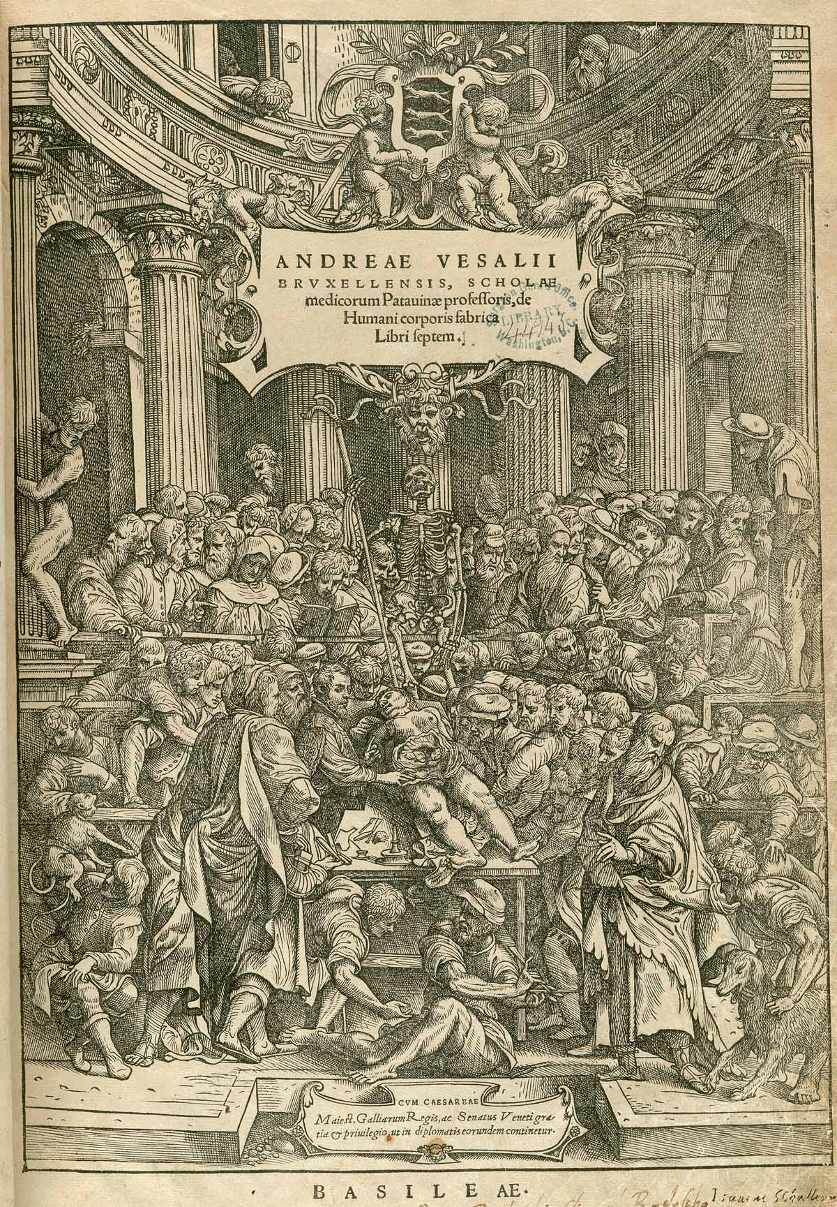 miscelanea-anatomia-para-artistas-041.jpg
