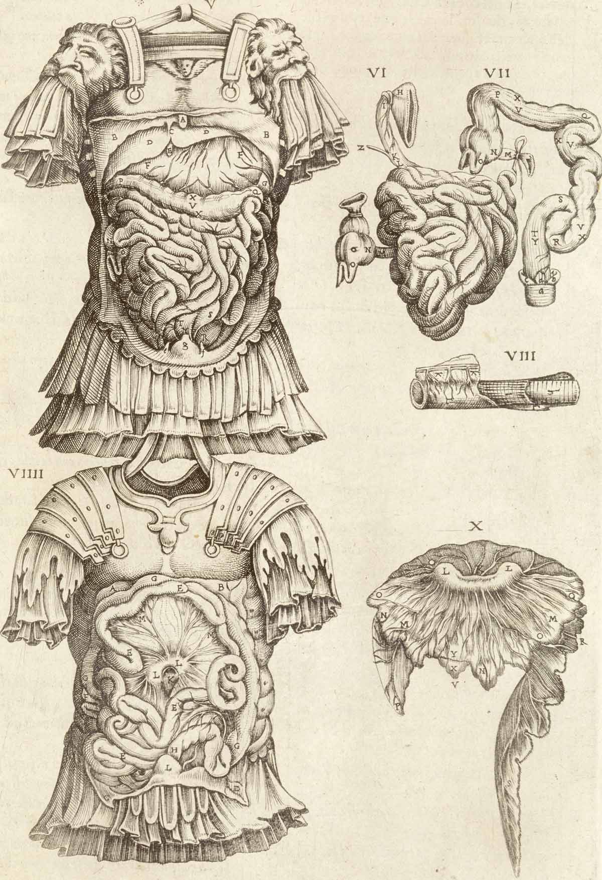 miscelanea-anatomia-para-artistas-042.jpg