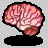 cerebros-007.gif