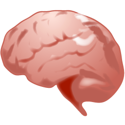 cerebros-008.png
