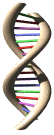 laboratorio-aparatos-030.gif