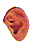 organos-cuerpo-miembros-corporales-007.gif