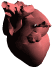 organos-cuerpo-miembros-corporales-021.gif