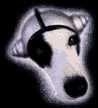 piratas-020.gif