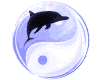 budismo-zen-yin-yang-018.gif