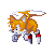 sonic-012.gif