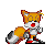 sonic-015.gif