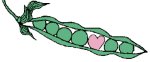 corazones-amor-027.gif