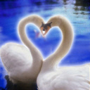 corazones-amor-063.jpg
