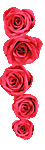 ramos-de-rosas-014.gif