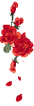 ramos-de-rosas-015.gif