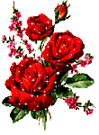 ramos-de-rosas-019.gif