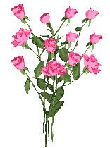 ramos-de-rosas-025.gif