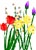 ramos-de-flores-020.jpg