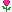 flores-rosas-001.gif