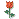 flores-rosas-003.gif