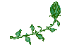 flores-rosas-031.gif
