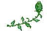 flores-rosas-032.gif
