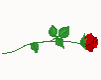 flores-rosas-044.gif
