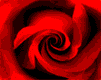 flores-rosas-045.gif