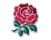 flores-rosas-046.gif