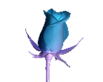 flores-rosas-064.gif