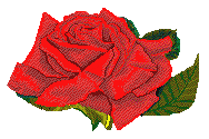 flores-rosas-065.gif