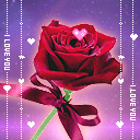 flores-rosas-066.gif