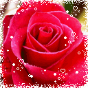flores-rosas-068.gif