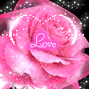 flores-rosas-070.gif
