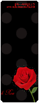 flores-rosas-080.gif