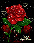 flores-rosas-084.gif