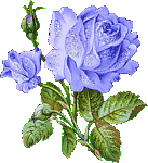 flores-rosas-087.gif