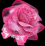 flores-rosas-089.gif