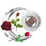 flores-rosas-092.gif