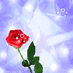 flores-rosas-094.gif