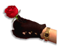 flores-rosas-095.gif