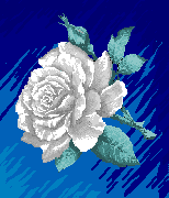 flores-rosas-096.gif