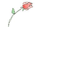 flores-rosas-098.gif
