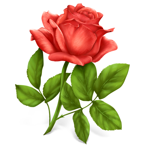 flores-rosas-099.png